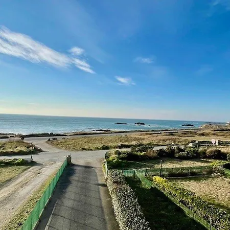 Apartament - Duplex Renove 2 Pieces Avec Terrasse, Parking Prive Et Wifi - Fr-1-478-268 Quiberon
